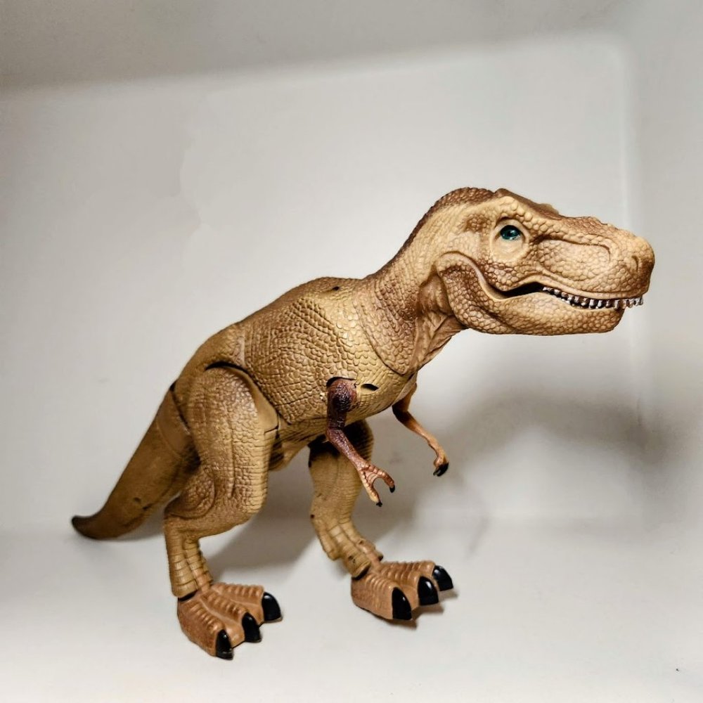 Discovery T-Rex Tyrannosaurus Rex T Rex Paleontology Display Home Accent  This i